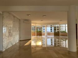 Honolulu Tower (D10), Apartment #448388671